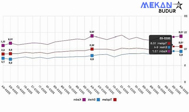 Tüik: Mevsim etkisinden arındırılmış işsizlik oranı %8,5 seviyesinde gerçekleşti