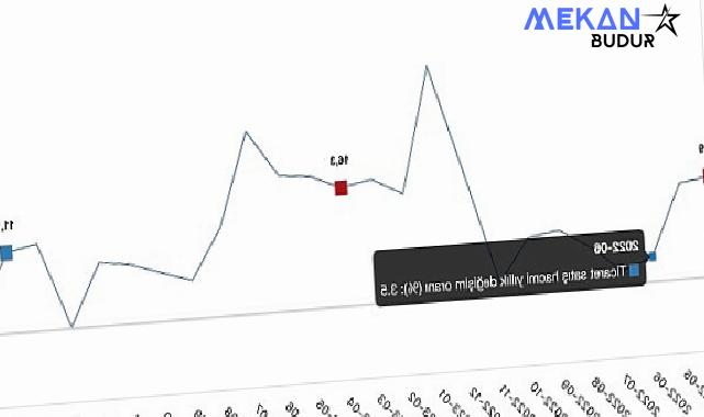 Tüik: Ticaret satış hacmi yıllık %2,5 arttı, perakende satış hacmi yıllık %10,2 arttı