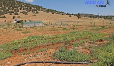 Antalya Büyükşehir Belediyesi arıtma suyunu tarımda kullandı