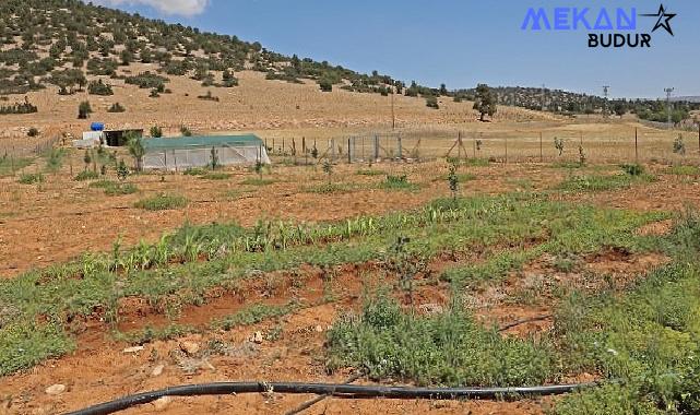 Antalya Büyükşehir Belediyesi arıtma suyunu tarımda kullandı