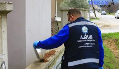 Büyükşehir Can dostlar İçin Mama Üretiyor, Tasarruf Sağlıyor