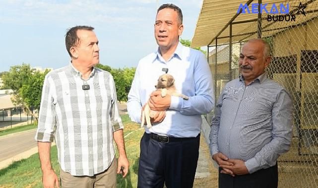 CHP Mersin milletvekilleri Ali Mahir Başarır ile CHP Mersin Milletvekili Talat Dinçer Yenişehir Belediyesinin hayvan bakımevini gezdi