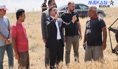 Nevşehir Belediyesi, mülkiyeti kendisine ait olan arazilerden ilk buğday hasadını gerçekleştirdi