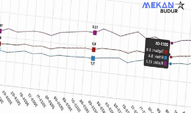 Tüik: Mevsim etkisinden arındırılmış işsizlik oranı %8,4 seviyesinde gerçekleşti