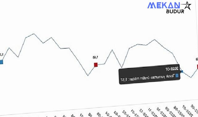 Tüik: Tavuk eti üretimi 216 bin 453 ton, tavuk yumurtası üretimi 1,76 milyar adet olarak gerçekleşti