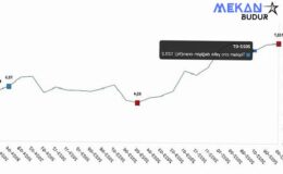 Tüik: Toplam ciro yıllık %66,8 arttı