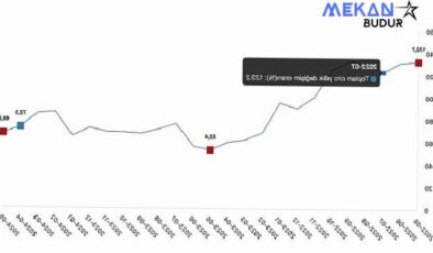 Tüik: Toplam ciro yıllık %66,8 arttı