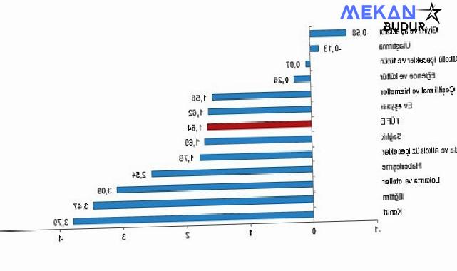 Tüik: Tüketici fiyat endeksi (TÜFE) yıllık %71,60, aylık %1,64 arttı