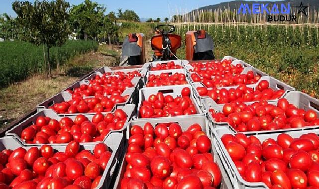 Yaş meyve sebze ve meyve sebze mamulleri ihracatı 6 ayda 3 milyar doları aştı