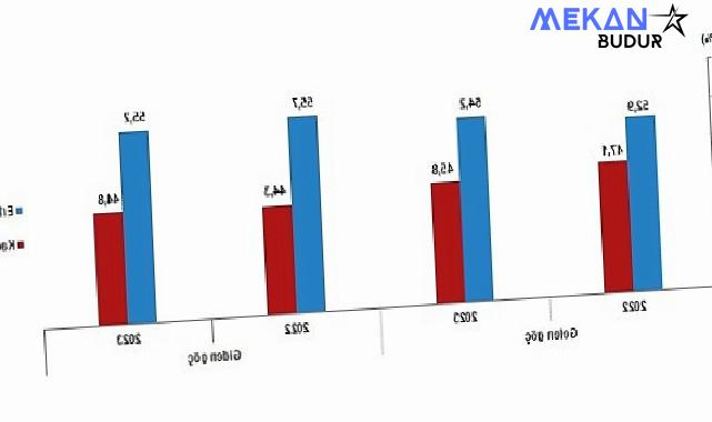 Tüik: Yurt dışından Türkiye’ye 316 bin 456 kişi göç etti