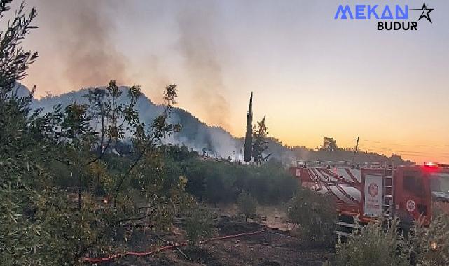 Antalya Büyükşehir ekiplerinden orman yangınına müdahale