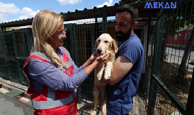 Bakırköy Belediyesi Can Dostlarının Yanında