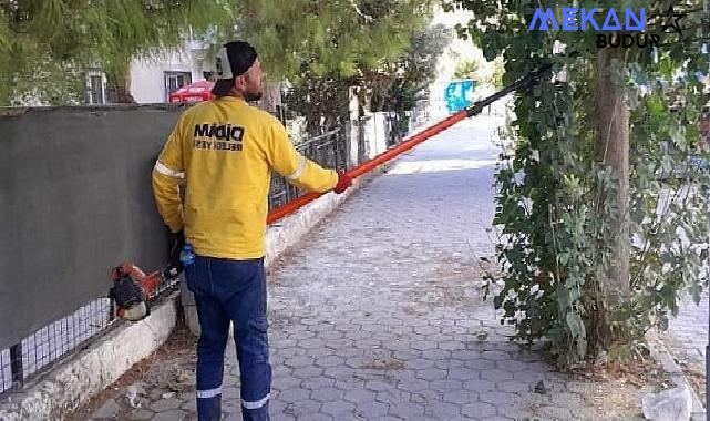 Didim’de Ağaç Budama Çalışmaları Sürüyor