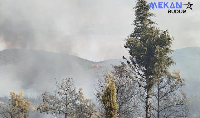 Foça yangını kontrol altına alındı