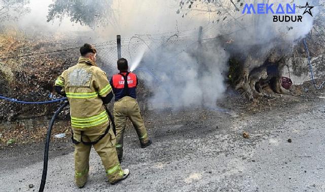 İzmir İtfaiyesi yangınlar için seferber oldu