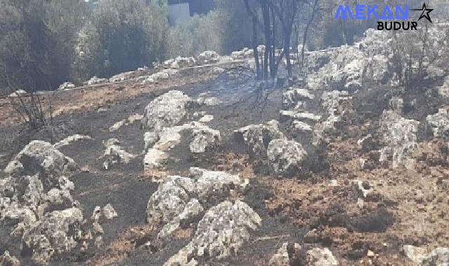 İzmir’de yangın fabrikalara ulaşmadan kontrol altına alındı