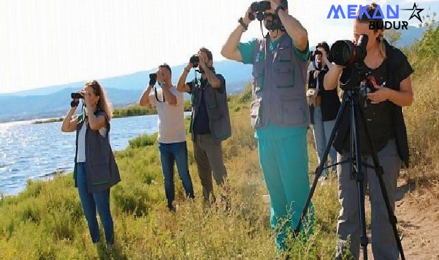 İzmit Körfezi’nin pembe süsleri geldi