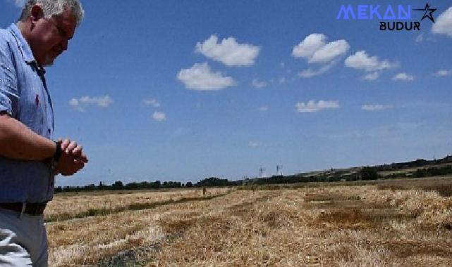 Lüleburgaz Belediyesi’nden 160 ton buğday hasadı