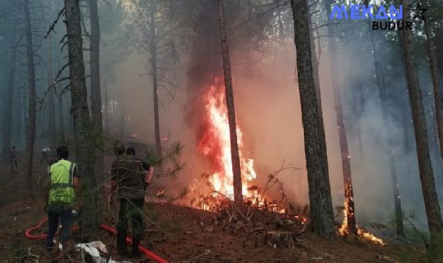 Muğla Büyükşehir Orman Yangınlarında Tüm Gücüyle Sahada