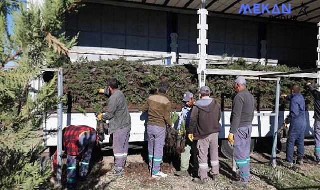 Nevşehir tarihinin en büyük ağaçlandırma seferberliği başlıyor.