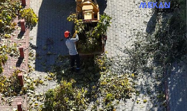 Selçuklu’da Ağaç Budama Çalışmaları Devam Ediyor