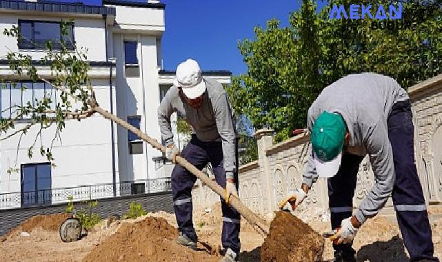 Selçuklu’da Yeşil Doku Güçlendiriliyor