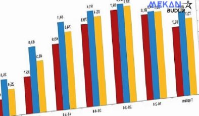 Tüik: İnternet kullanan bireylerin oranı %88,8 oldu