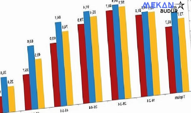 Tüik: İnternet kullanan bireylerin oranı %88,8 oldu