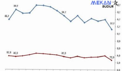 Tüik: Merkezi yönetim bütçesinden Ar-Ge harcaması 2023 yılında 98 milyar 737 milyon TL oldu