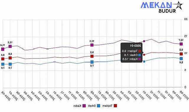 Tüik: Mevsim etkisinden arındırılmış işsizlik oranı %8,5 seviyesinde gerçekleşti