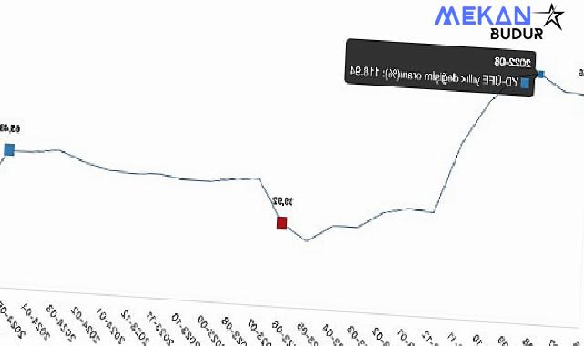 Tüik: Yurt Dışı Üretici Fiyat Endeksi (YD-ÜFE) yıllık %44,51 arttı, aylık %0,97 arttı