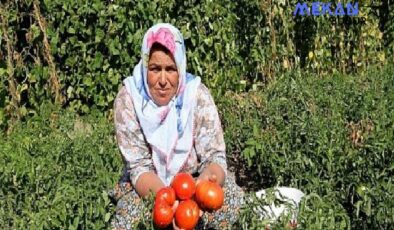 Yamanlar yılın en renkli şenliğine hazır!