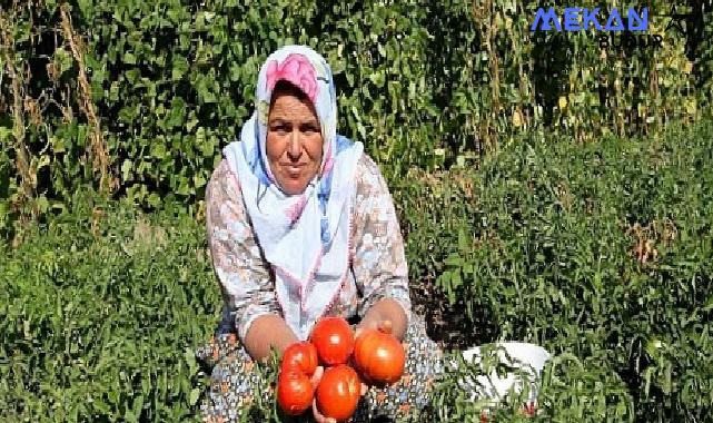 Yamanlar yılın en renkli şenliğine hazır!