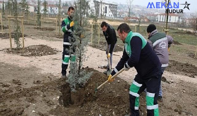 167 Fidan Engelliler İçin Toprakla Buluştu