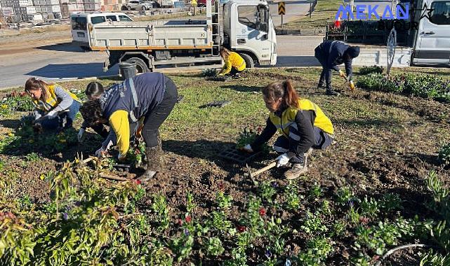 Başkan Çerçioğlu Didim’i Rengarenk Çiçeklerle Süslüyor