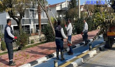 Büyükşehir Kent Genelinde Budama Çalışmalarına Devam Ediyor