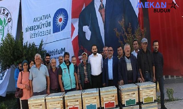 Büyükşehir’den Gazipaşalı arıcılara kovan desteği