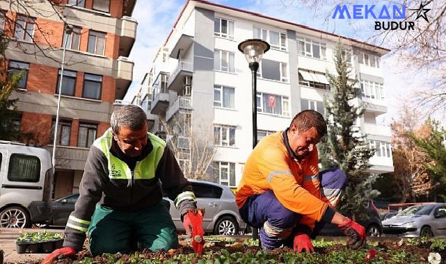 Çankaya parkları çiçek açıyor