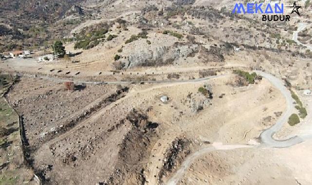 Doğançaylı arıcılar istedi Başkan Tugay talimatı verdi Yanan araziler bal ormanıyla küllerinden doğuyor