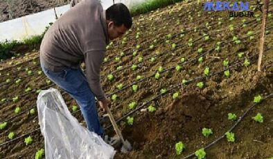 Hümik Asit Uygulamasıyla Verimli Topraklar, Sağlıklı Ürünler