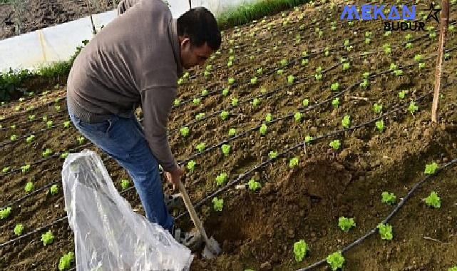 Hümik Asit Uygulamasıyla Verimli Topraklar, Sağlıklı Ürünler