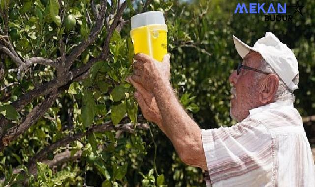 İzmir Büyükşehir Belediyesi çiftçiye umut oldu