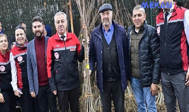 İzmirli Kestane Üreticilerine Kestane Gal Arısına Dayanıklı 2 bin 620 Fidan Dağıtıldı