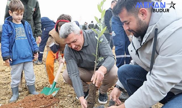 Kandıra’da 1.500 Defne Fidanı Toprakla Buluştu.