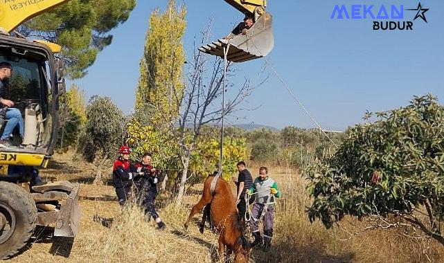 Kemalpaşa Ulucak Mahallesi’nde su kuyusuna düşen yılkı atı, ekiplerin yoğun çalışmaları sonucu kurtarıldı