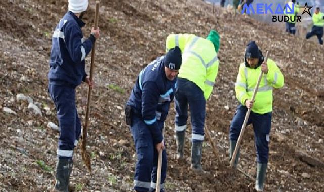 Kocaeli’de 4 bin ağaç toprakla buluşturuluyor