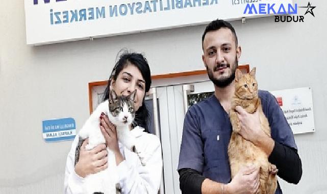 Konak’ın engelleri aşan Kedi Evi’nden sahiplenme çağrısı