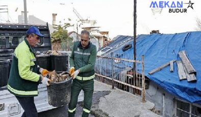 Konak’tan yuvaları ısıtan uygulama