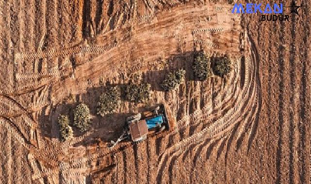 Manisa’da Toprak Sağlığı İçin Uluslararası Proje