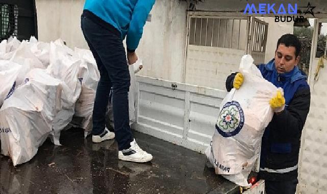 Muğla Büyükşehir Belediyesi Mezarlıkları Temizliyor, Odunlar İhtiyaç Sahiplerine Yakacak Oluyor